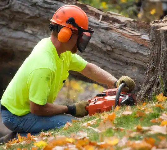 tree services St. Stephens